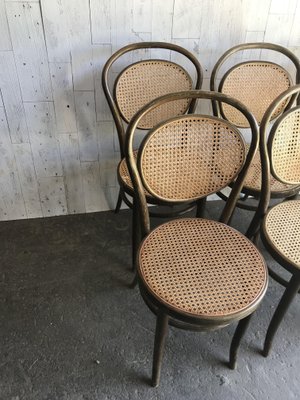 Dining Chairs in Wood Cane, Germany, 1960s, Set of 6-OXJ-995135