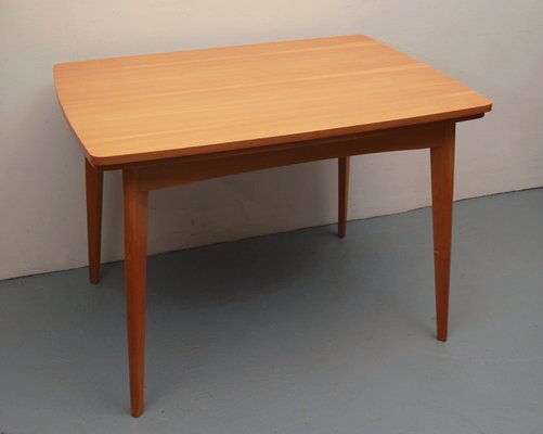 Dining Table Extendable in Ash, 1955-PF-1821340