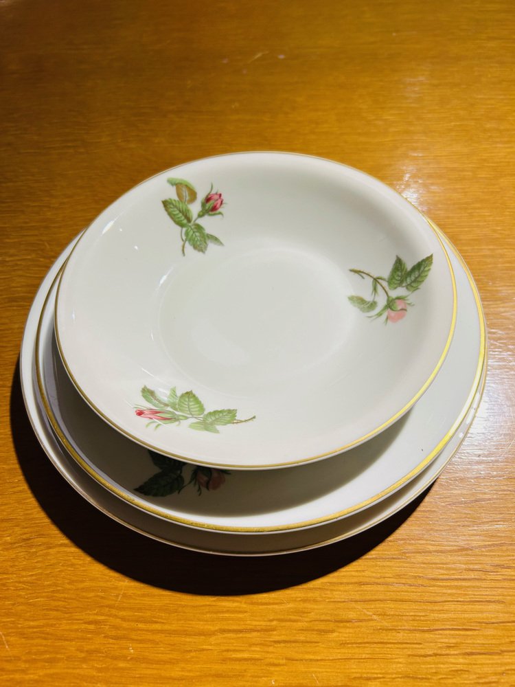 Dinner Service by Théodore Haviland, 1950s, Set of 36