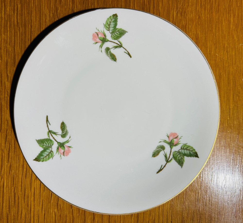 Dinner Service by Théodore Haviland, 1950s, Set of 36