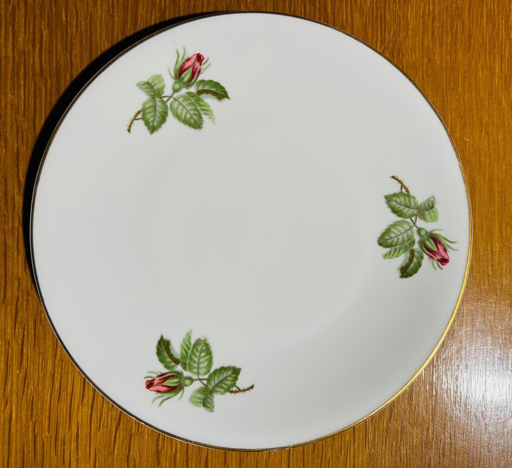 Dinner Service by Théodore Haviland, 1950s, Set of 36