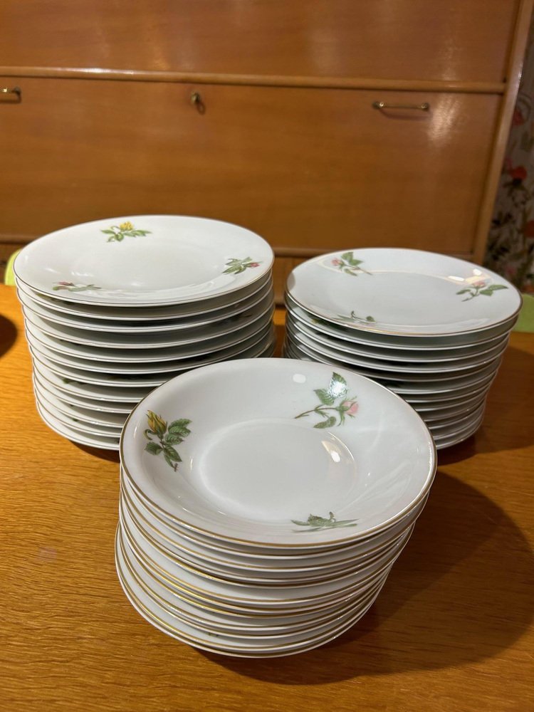 Dinner Service by Théodore Haviland, 1950s, Set of 36