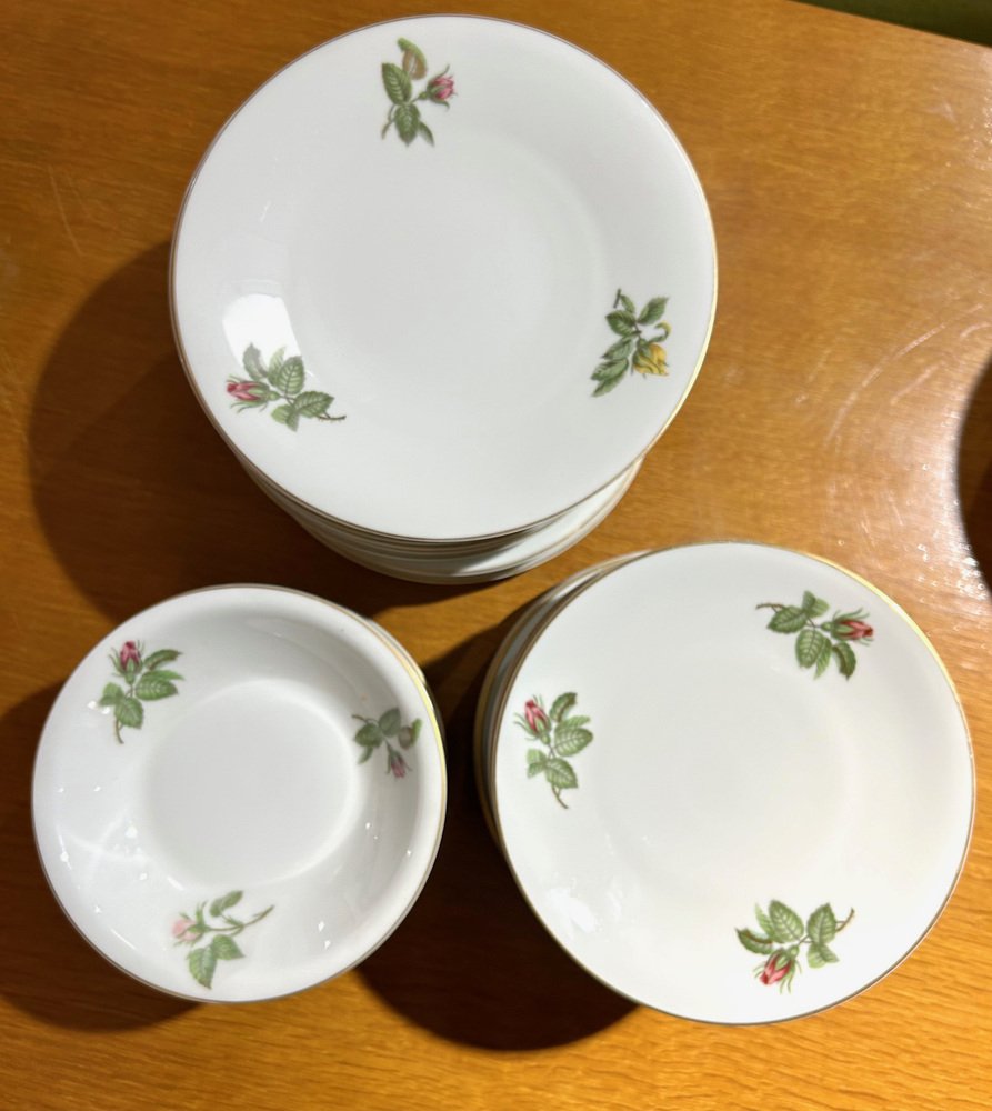 Dinner Service by Théodore Haviland, 1950s, Set of 36