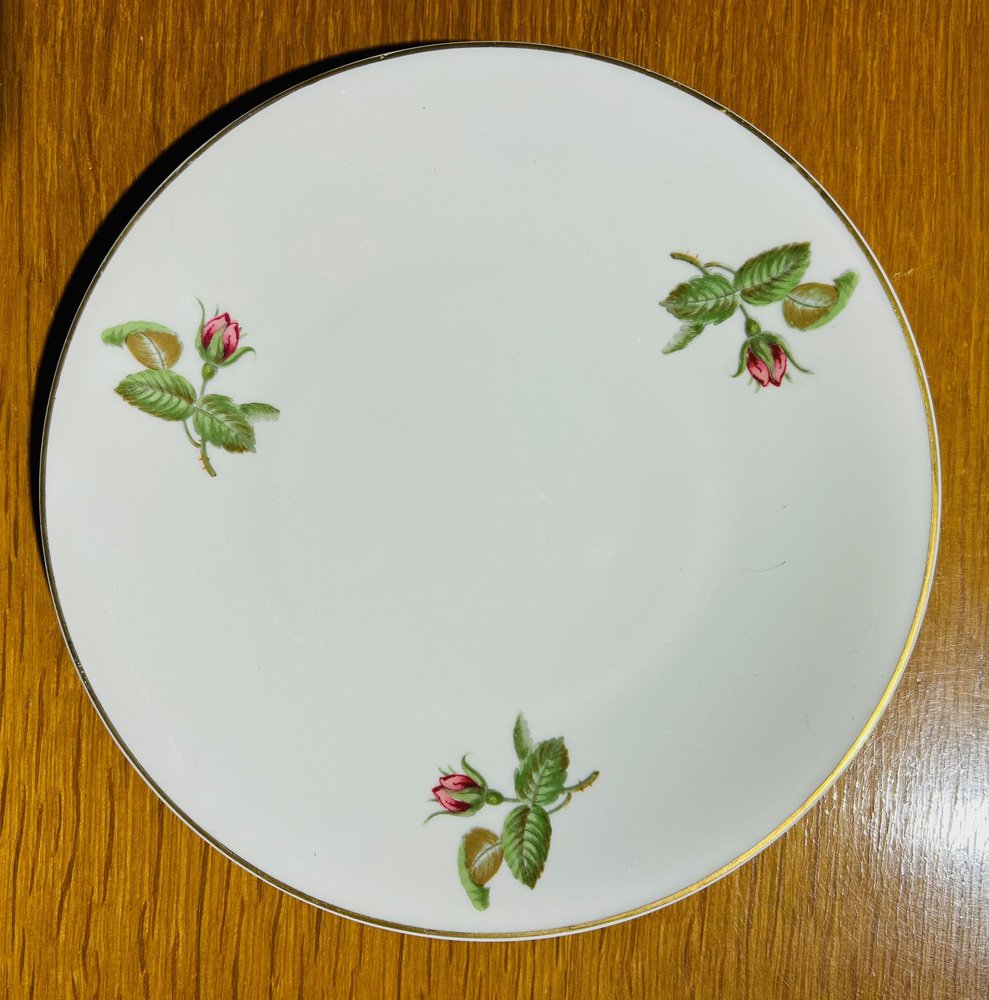 Dinner Service by Théodore Haviland, 1950s, Set of 36