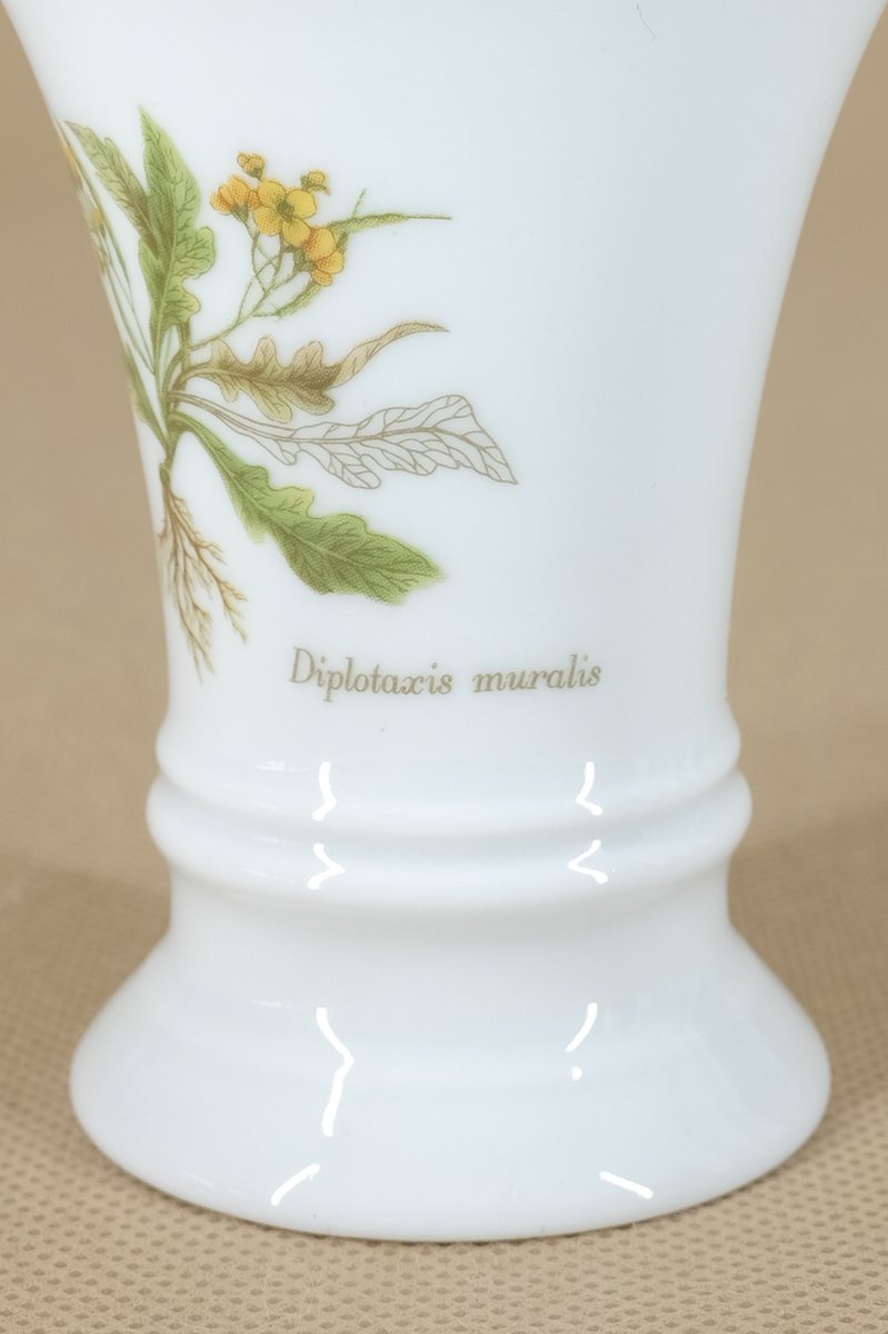 Diplotaxis Muralis Vase from Fürstenberg Porzellan, 1980s