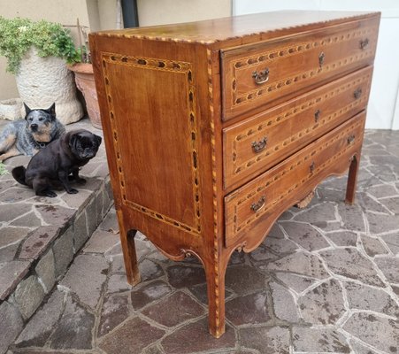 Directory Chest of Drawers in Walnut and Cherry Inlays, 1740-KMR-2022561