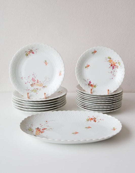 Dishes and Source from Limoges, 1950s, Set of 19