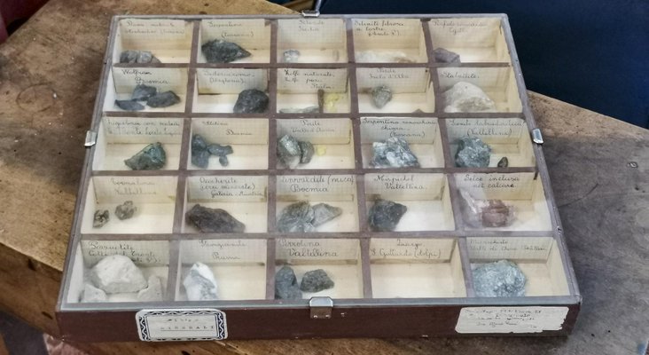 Display Cases with Various Minerals, Set of 4-RAQ-1312327