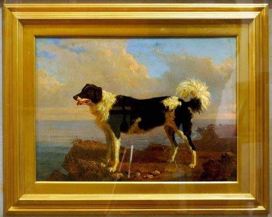 Dog - Oil on Canvas by Filippo Palizzi - Second Half of 19th Century 1950-1860