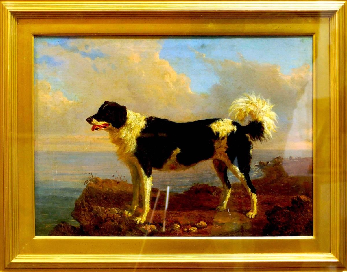 Dog - Oil on Canvas by Filippo Palizzi - Second Half of 19th Century 1950-1860