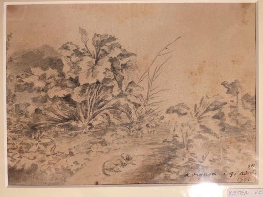 Dog with Plants - Original China Ink Drawing by Jan Pieter Verdussen - 1751 1751