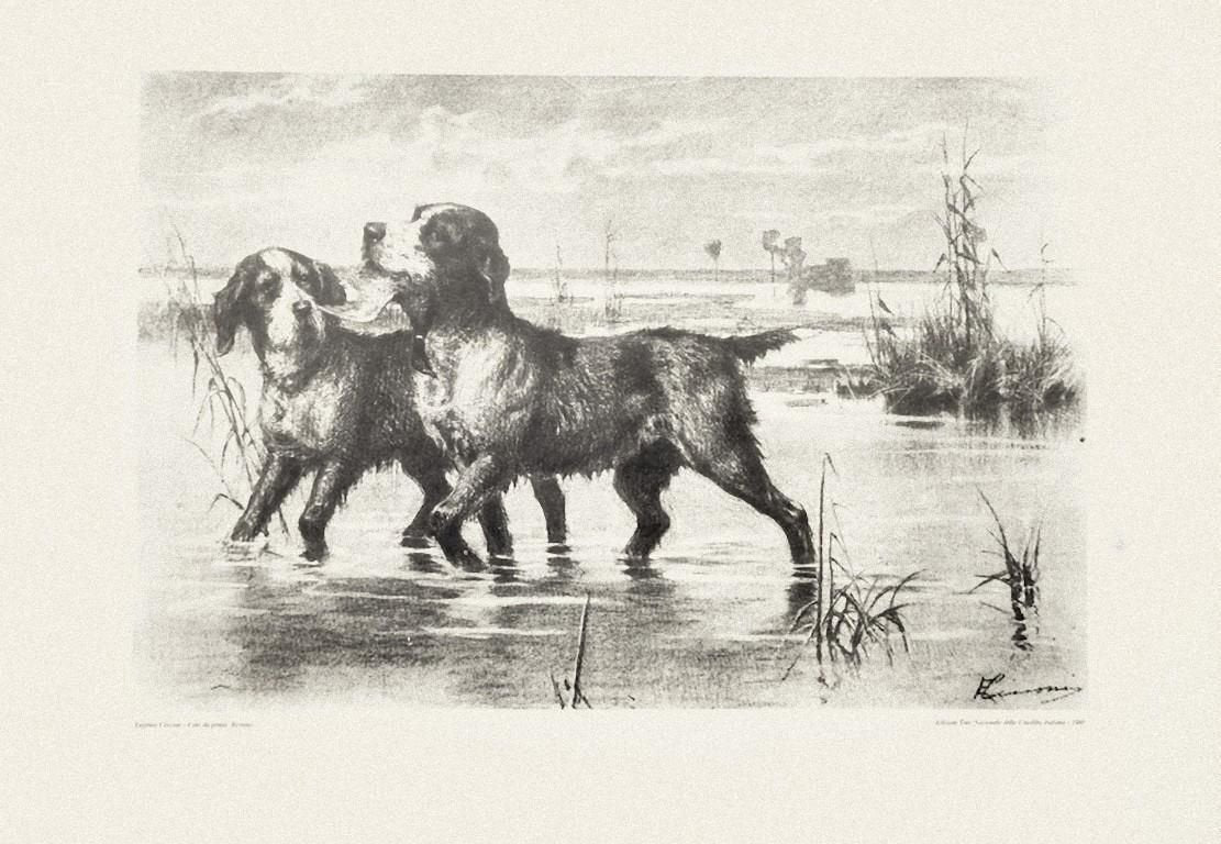 Dogs - Set of Five Lithographs realized by Eugenio Cecconi - 1980 1980s