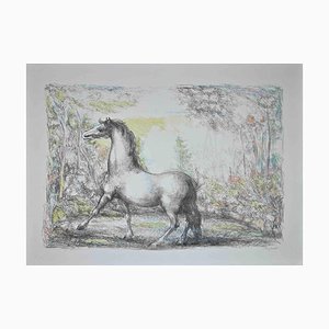 Domenico Purificato, Horse, Original Lithograph, 1970s-ZCI-1379438