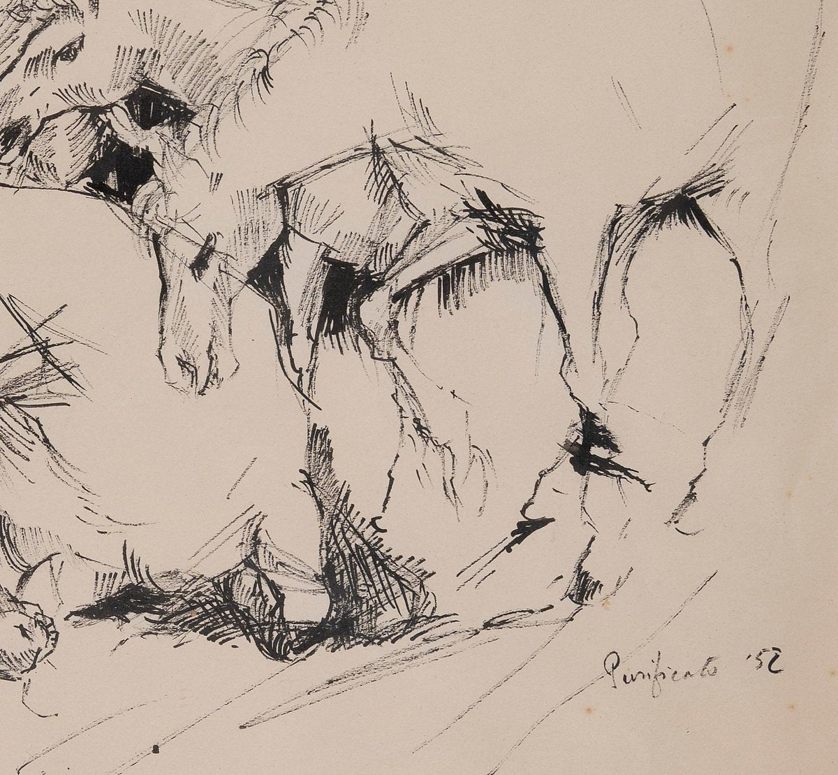 Domenico Purificato, Horses, Original Drawing, 1952