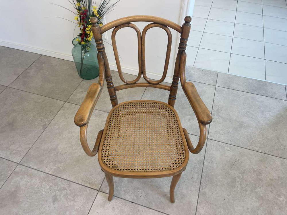 Dream Armchair in Bentwood