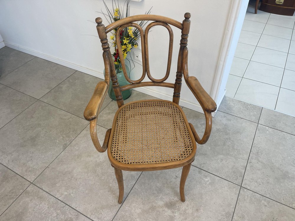 Dream Armchair in Bentwood