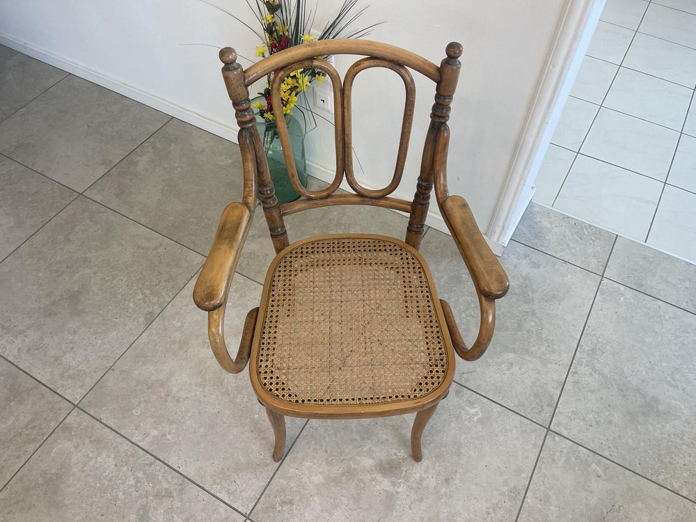 Dream Armchair in Bentwood