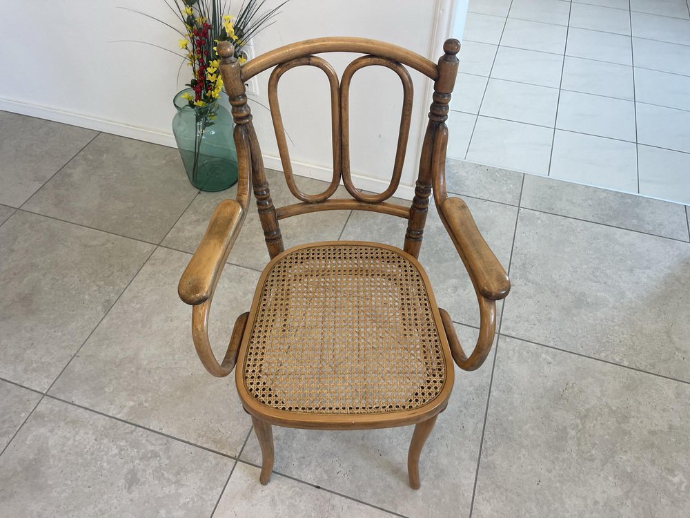 Dream Armchair in Bentwood