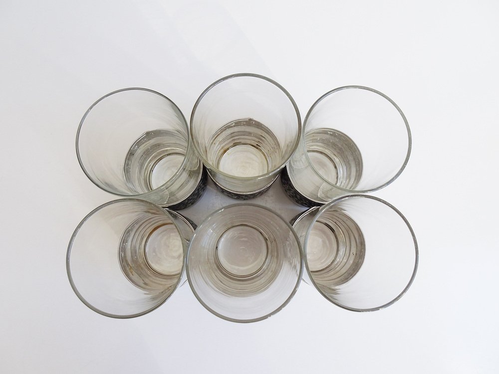 Drinking Glasses with Floral Metal Frame, 1960s, Set of 6