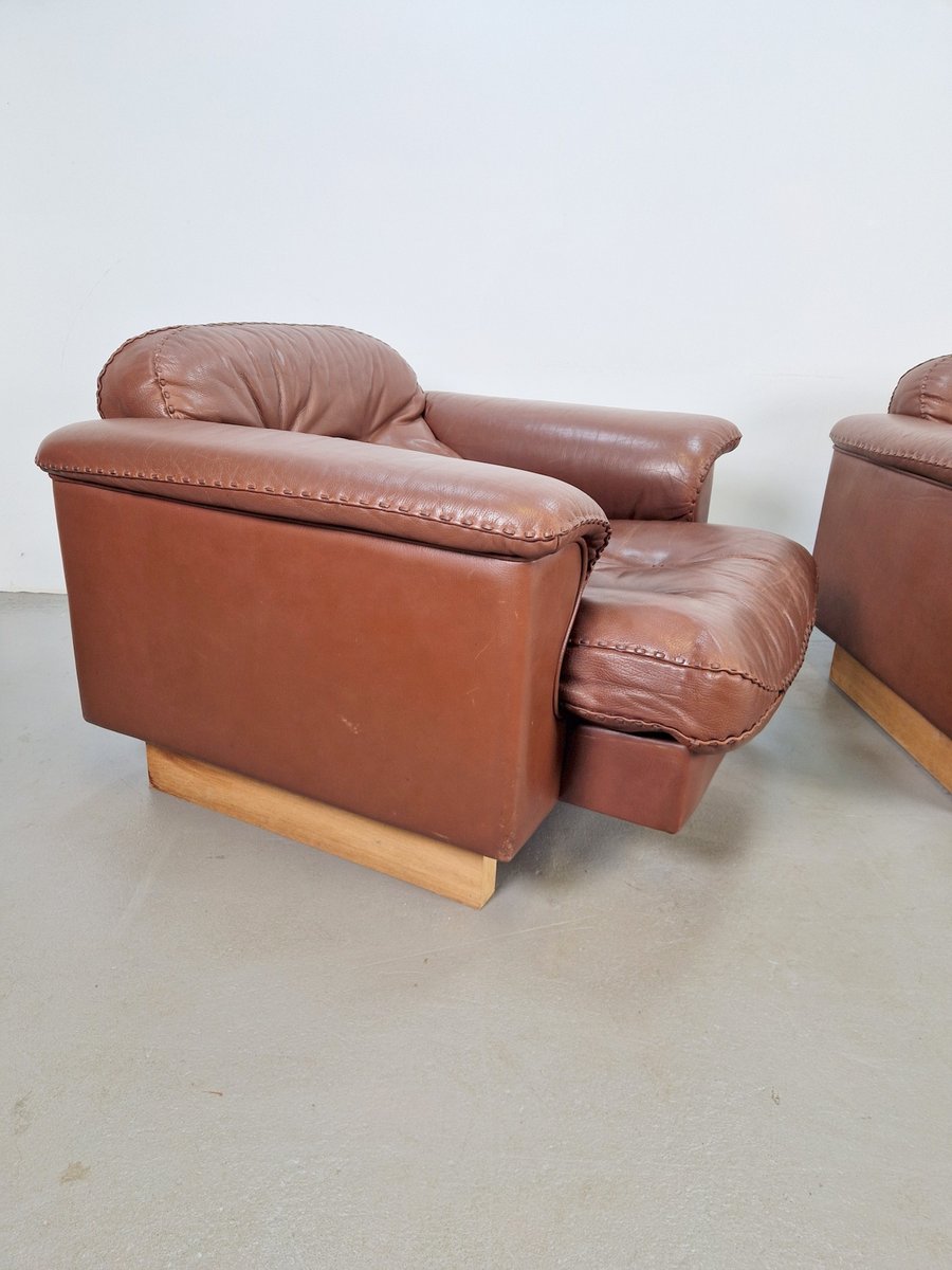 DS 101 Adjustable Brown Leather Armchairs from de Sede, 1970s, Set of 2