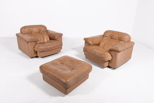 Ds 101 Brown Leather Lounge Chairs from de Sede, 1970s