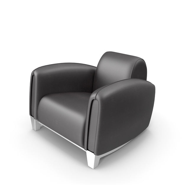 Ds-57 - Leather Armchair by De Sede