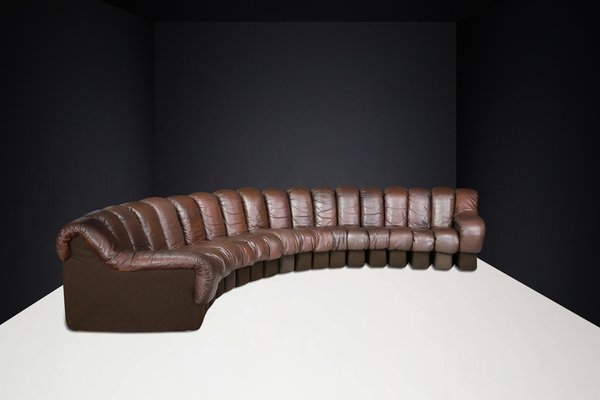 DS-600 Snake Sofa in Patinated Brown Leather attributed to Ueli Berger for de Sede, 1970s, Set of 18-TRW-1789494