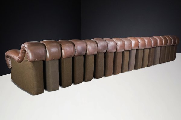 DS-600 Snake Sofa in Patinated Brown Leather attributed to Ueli Berger for de Sede, 1970s, Set of 18-TRW-1789494