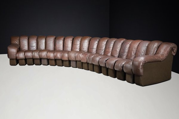 DS-600 Snake Sofa in Patinated Brown Leather attributed to Ueli Berger for de Sede, 1970s, Set of 18-TRW-1789494