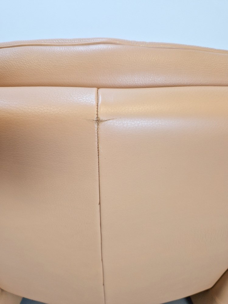 DS320 Armchairs in Leather from de Sede, 1990s, Set of 2