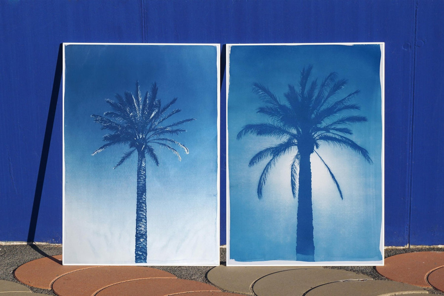 Duo of Egyptian Palms, Cyanotype on Paper, 2019