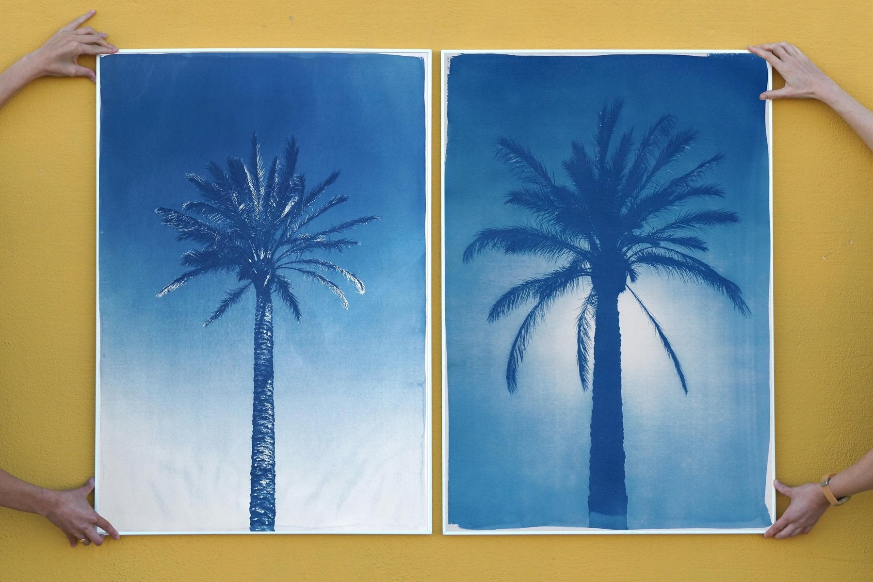 Duo of Egyptian Palms, Cyanotype on Paper, 2019