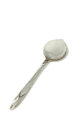 Dutch Art Deco Silver Ice Spoons by Gerritsen and Van Kempen, 1930, Set of 12-UCH-1224311