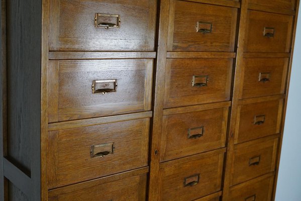 Dutch Oak Apothecary Filing Cabinet with Folding Doors, 1930s-XO-1158539