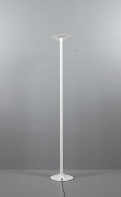 Dutch Tallo Floor Lamp from Lumiance, 1980s-VLO-1240986