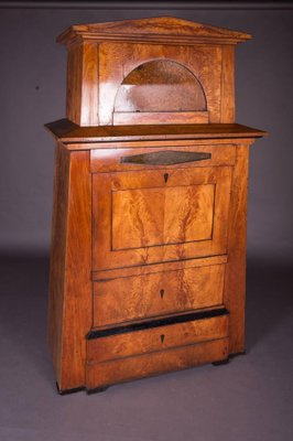 Early 19th Century Biedermeier Mahogany Pyramid Cupboard-FLW-1402231