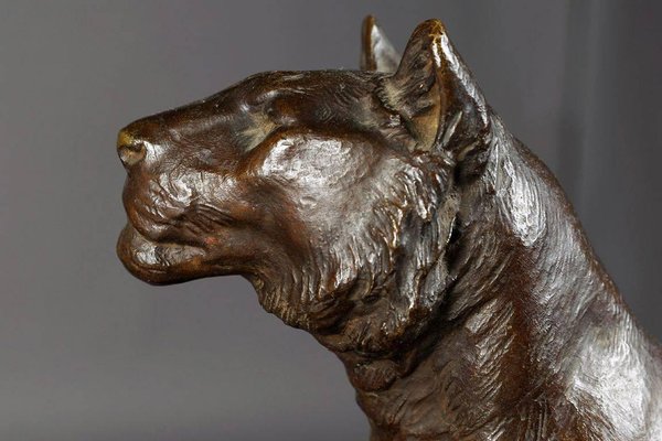 Early 20th Century Bronze Plastic Tiger Couple on Rocks attributed to G. Gardet, 1863-FLW-1402279