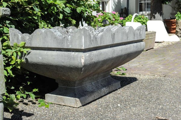 Early 20th Century French Neoclassical Planter-TDA-1376407