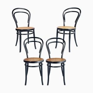 Early 20th Century Neapolitan Ebonized Chairs by Michael Thonet for Sautto & Liberale, Set of 4-NJV-1111746