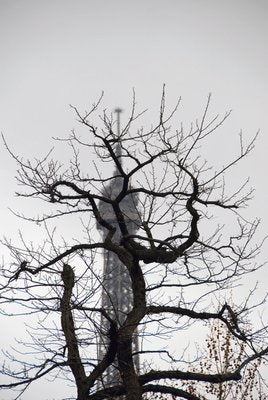 Early Spring, Paris, 2008-CHG-917536