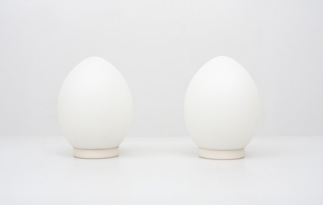 Egg Lamps in Glassware from Vianne, France, 1970s, Set of 2-GCG-935571