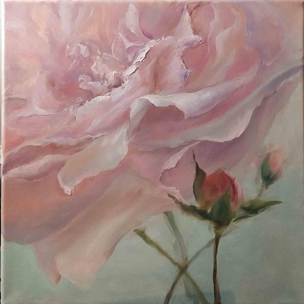 Elena Mardashova, Rose in Close-up, Oil Painting, 2022