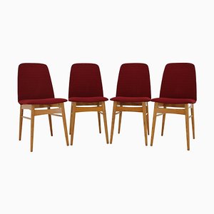 Elm Dining Chairs, Czechoslovakia, 1960s, Set of 4-TZ-1394198