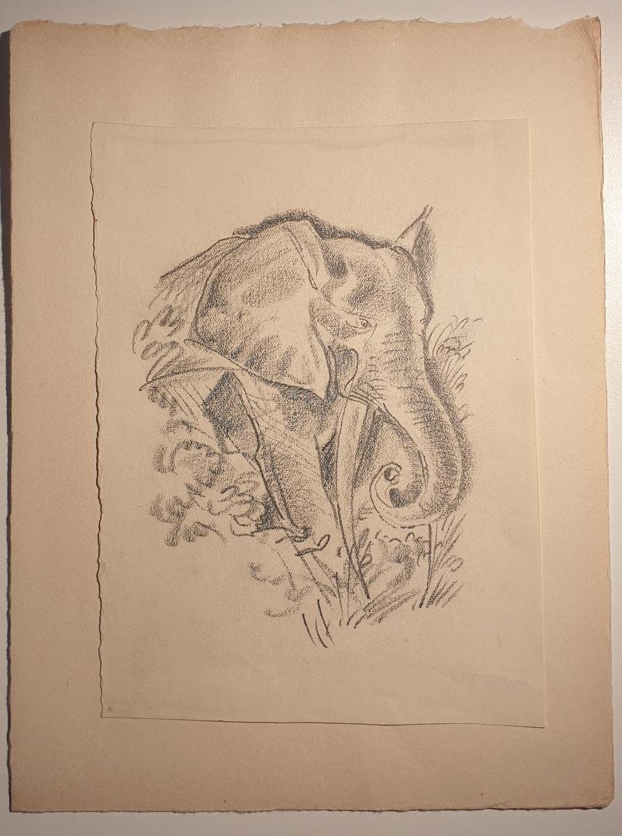 Emmanuel Gondouin, Africa, the Elephant, Original Lithograph, 1930s