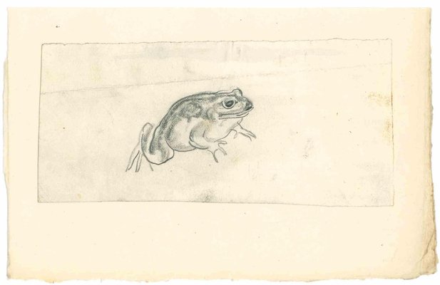 Emmanuel Gondouin, Frog, Drawing in Pencil, 1930s-ZCI-2029550