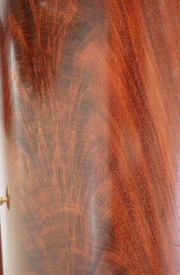 Empire Period Mahogany Burl Veneer Somno Cabinet, 1805-RVK-930892