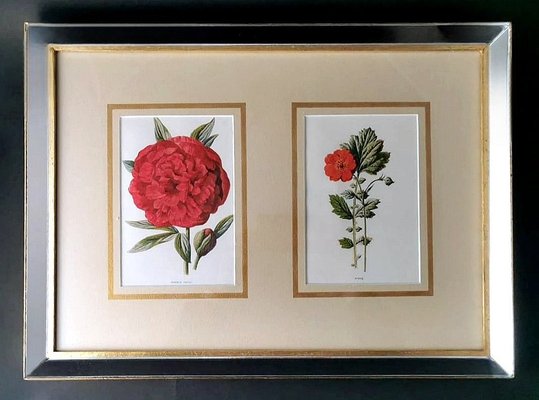 English Artist, Flowers, Chromolithographic Print Diptych, 1900, Framed-QRS-1788228