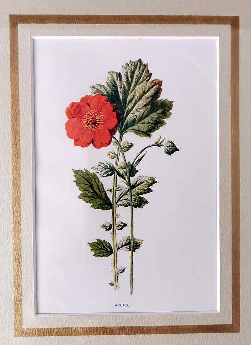 English Artist, Flowers, Chromolithographic Print Diptych, 1900, Framed