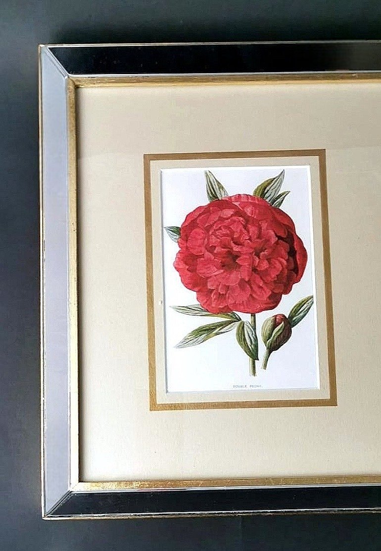 English Artist, Flowers, Chromolithographic Print Diptych, 1900, Framed