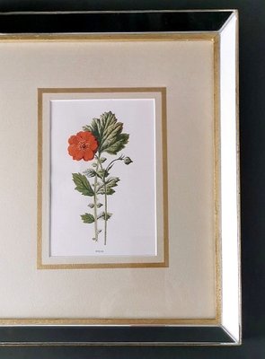 English Artist, Flowers, Chromolithographic Print Diptych, 1900, Framed-QRS-1788228